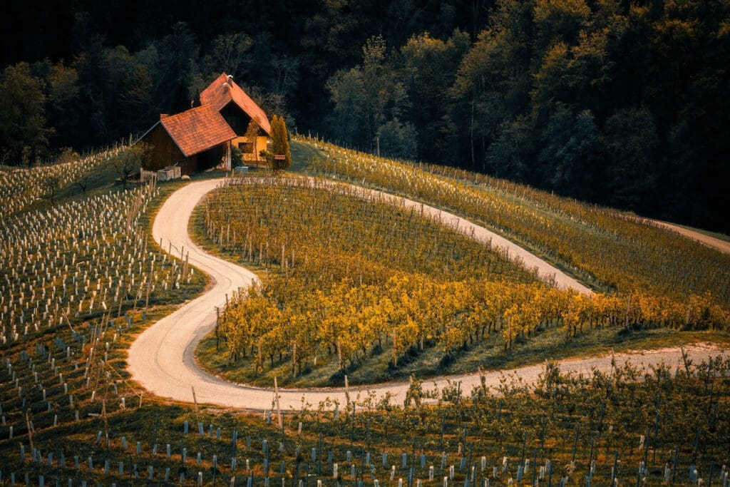 Pour une solution pérenne à la crise des revenus agricoles - Article de blog